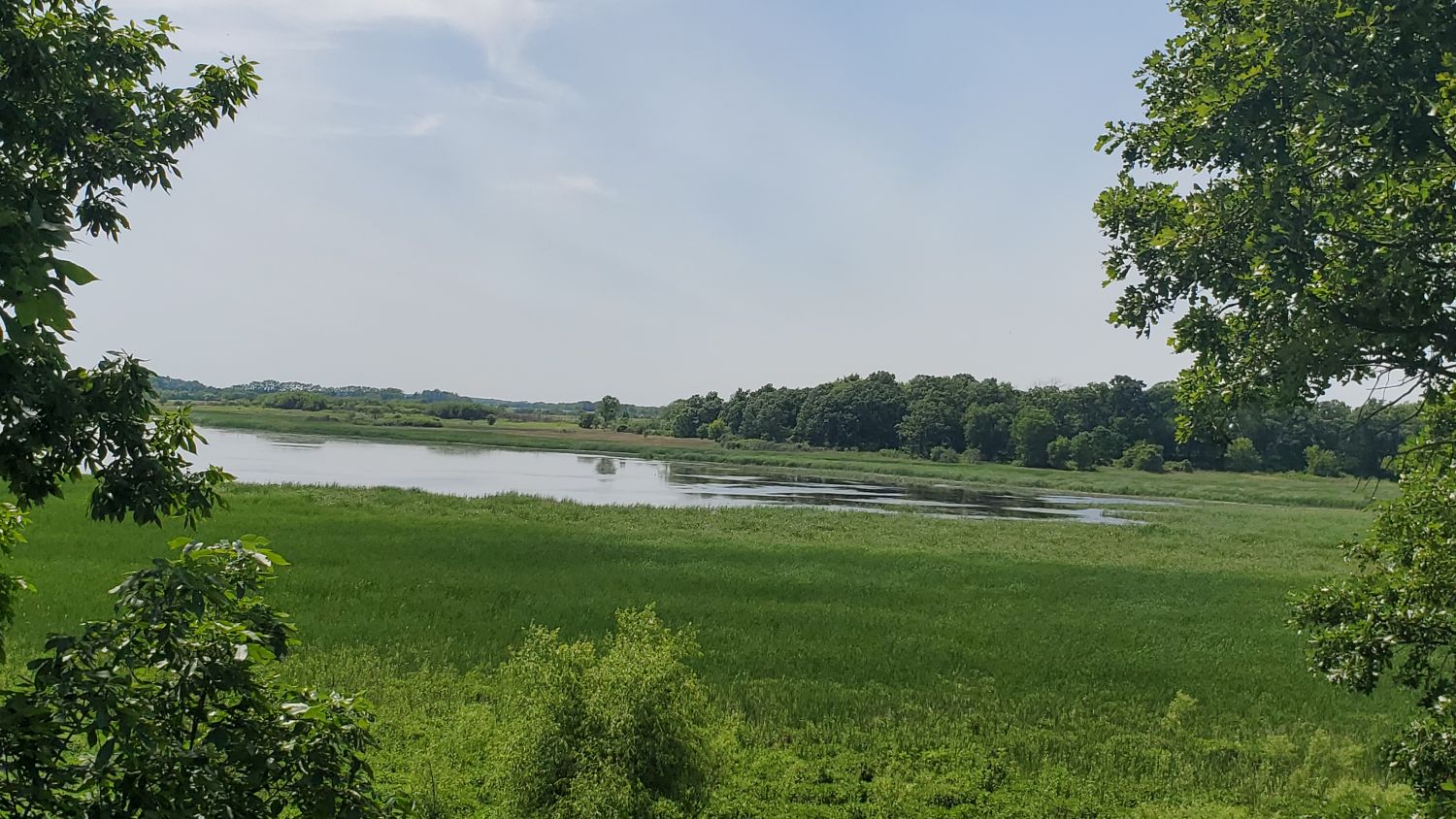 Dick Young Forest Preserve 